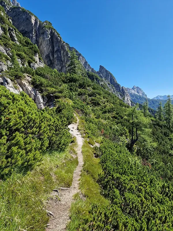 Saalfelden--Leogang